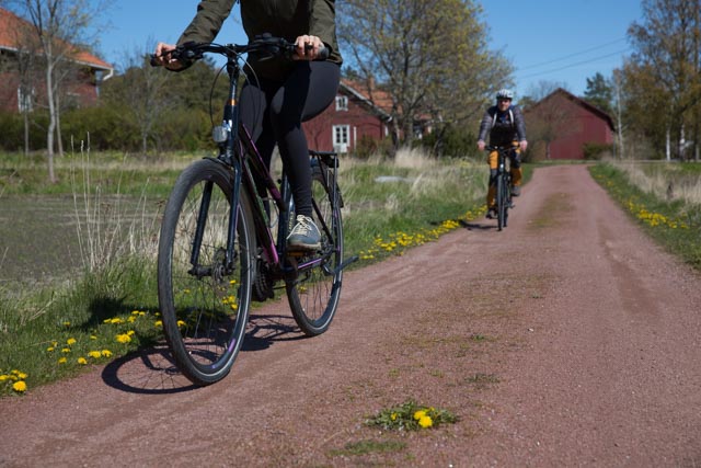 Couple bicycling on a sandy road