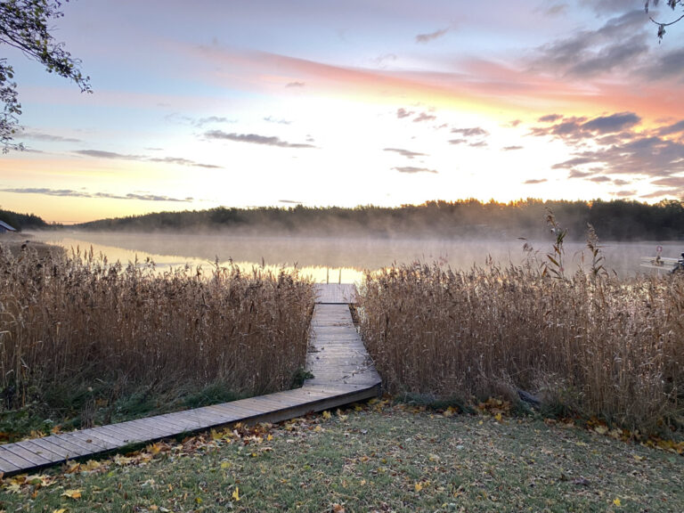 A wooden boardwalk leads through tall grass to a foggy lake at sunrise, with a partially cloudy sky and trees in the background.