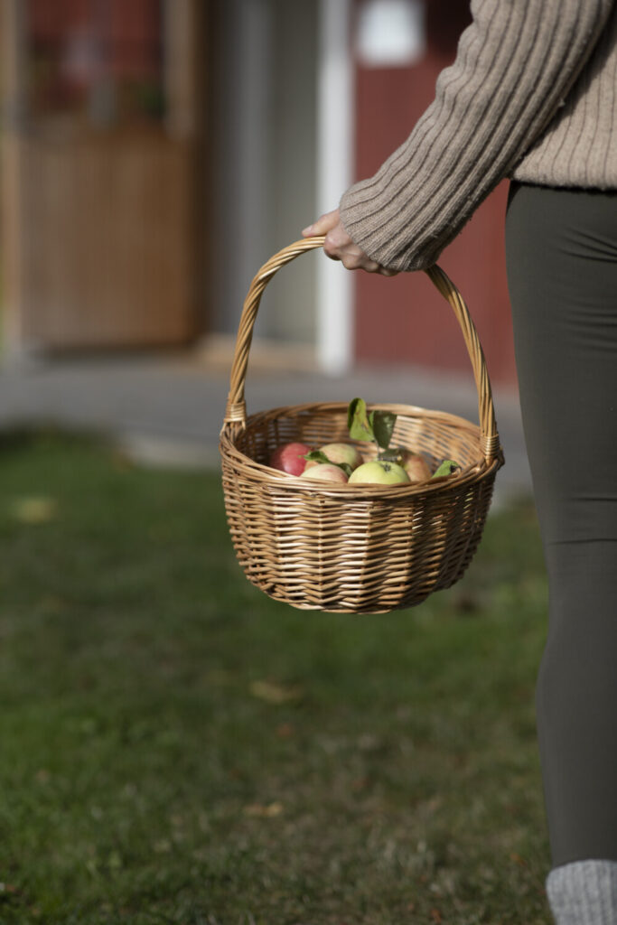 A person carries a wicker basket filled with apples, walking on a grassy area near a wooden building.