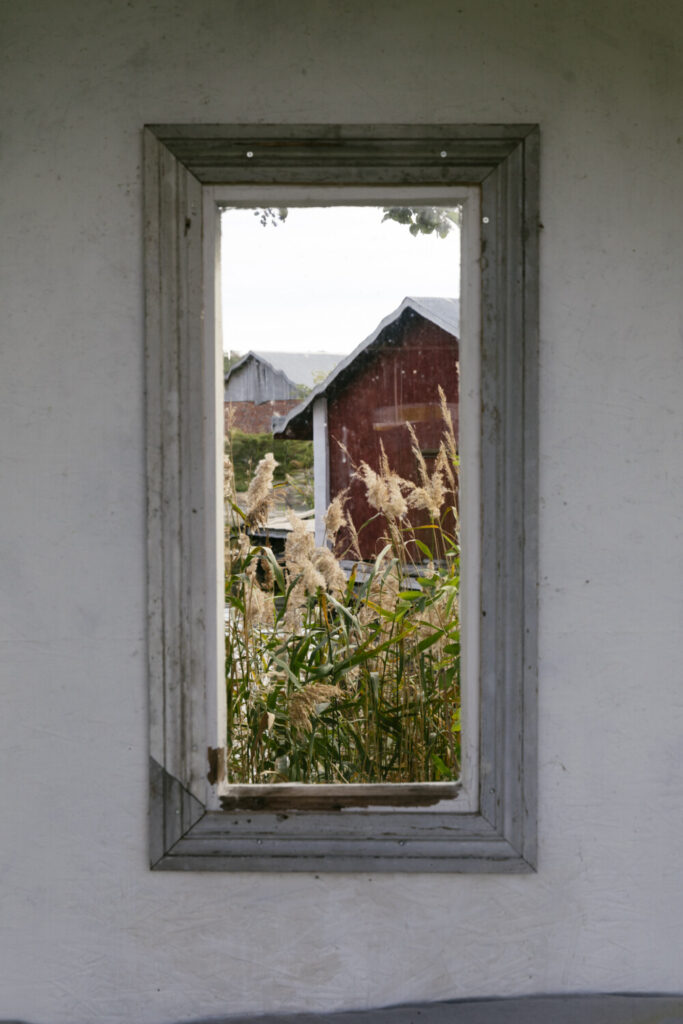 View through a rectangular window showing tall grasses and two rustic barns in the background.