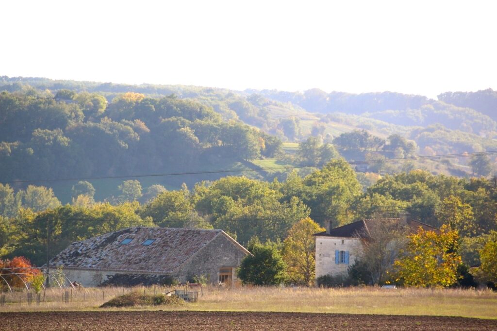 Countryside landscape with two rustic houses surrounded by trees and rolling hills under a bright sky.