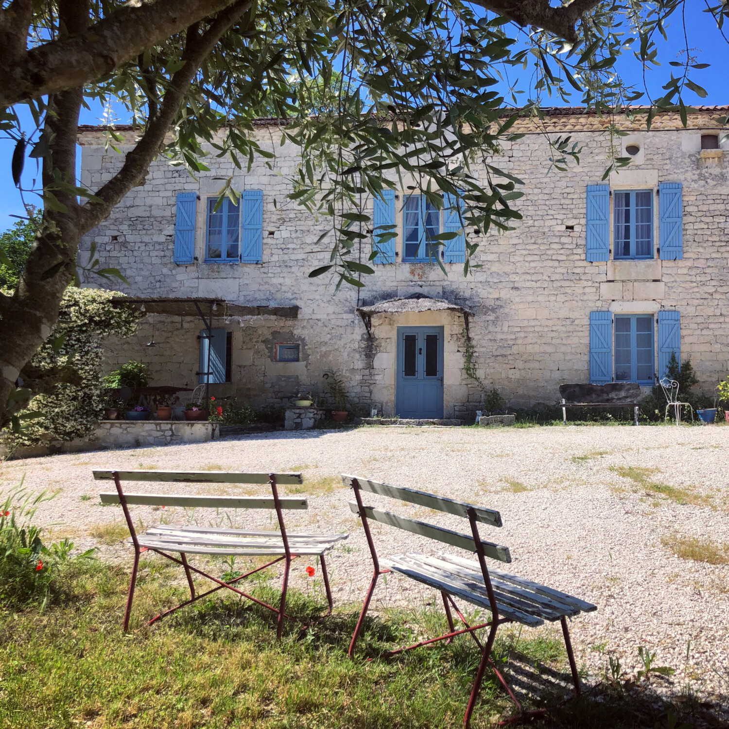 Stone house with blue shutters and door, surrounded by a gravel yard. Two wooden benches face the house. Olive tree branches hang in the foreground. Bright sunny day.