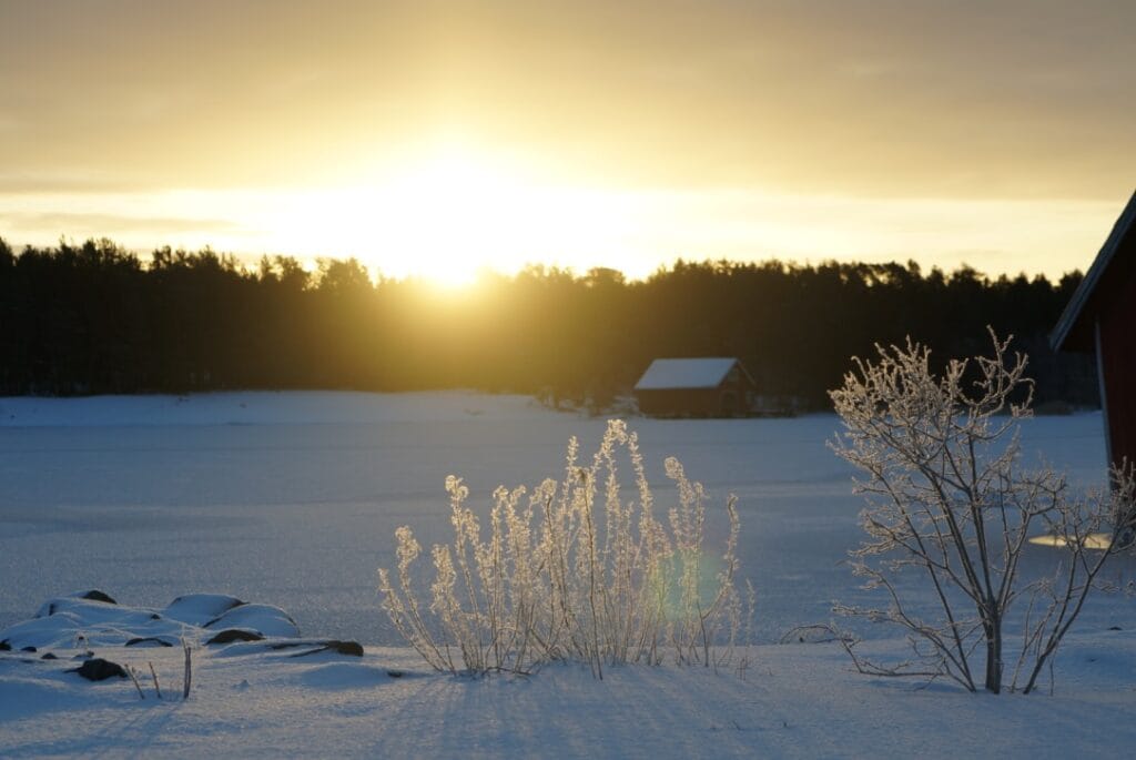 Sunrise over a snowy landscape with frosted plants in the foreground, a cabin, and a forest in the background.