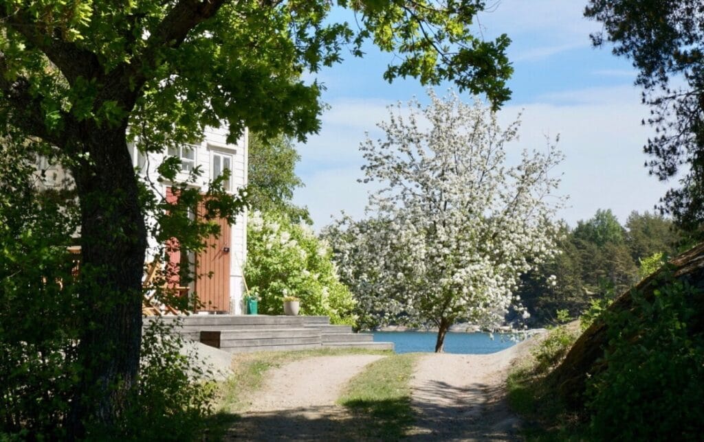 A dirt path leads to a white house with wooden doors, surrounded by green trees and a blooming white tree near a lake under a clear blue sky.